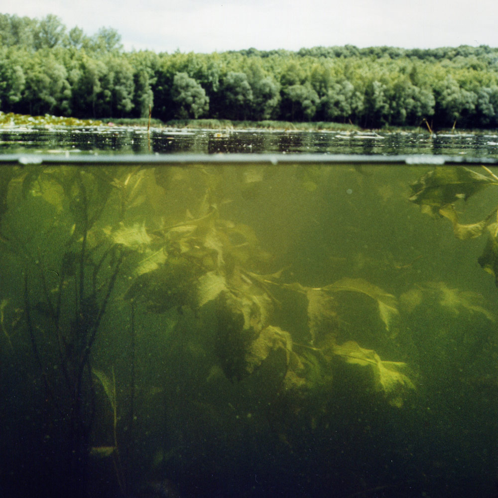 Klaus Osterwald – Donatussee, Unterwasser-Tonaufnahmen, Soundscapes