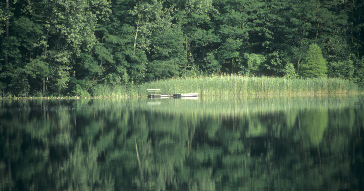 Klaus Osterwald – Donatussee, Unterwasser-Tonaufnahmen, Soundscapes